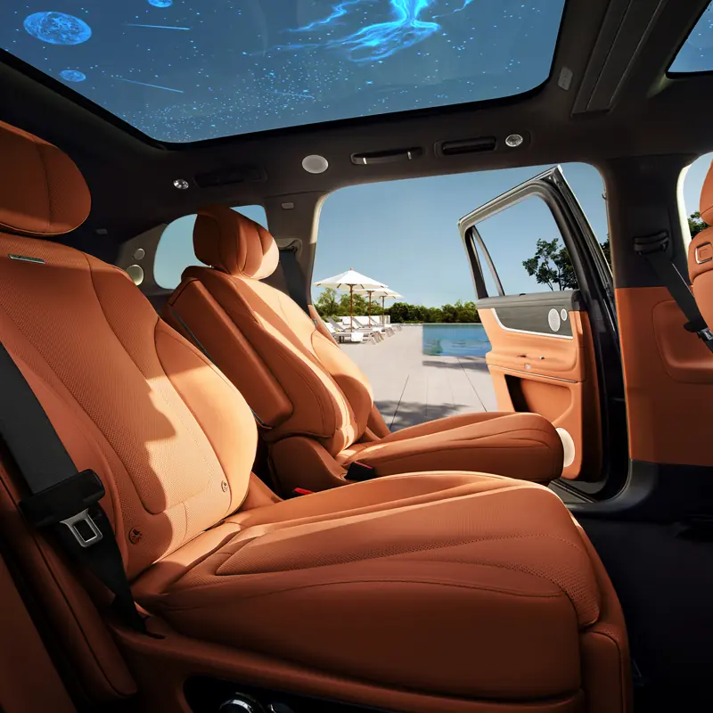Starlit Panoramic Roof Film gallery image 3