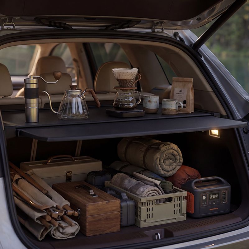 Multi-Function Trunk Rack