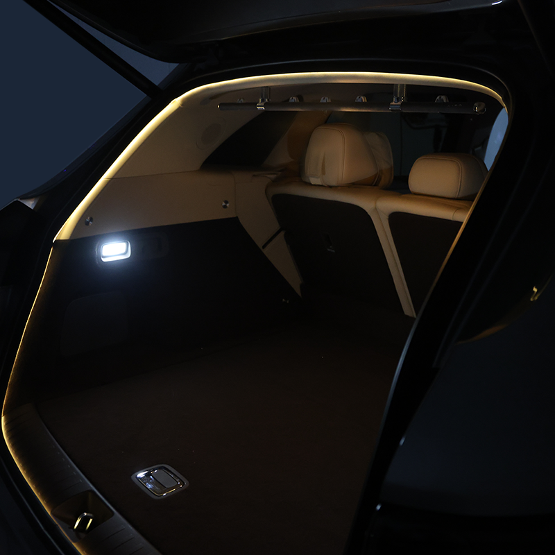 Tail-Gate Ambient Light