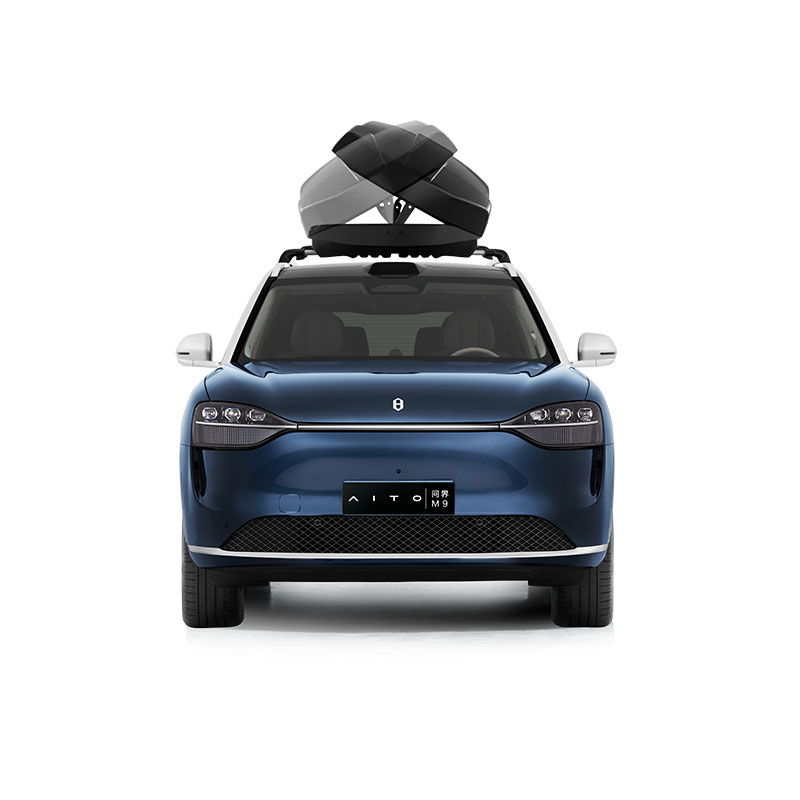 Thule Roof Cargo Box gallery image 5
