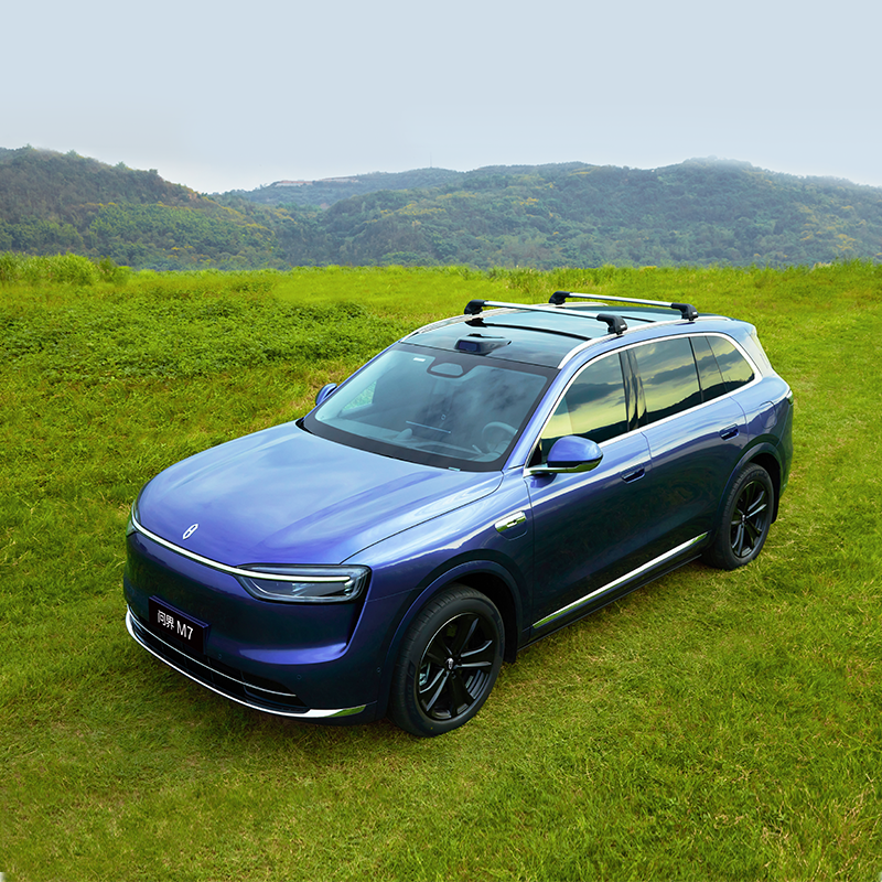 Thule Roof Rack