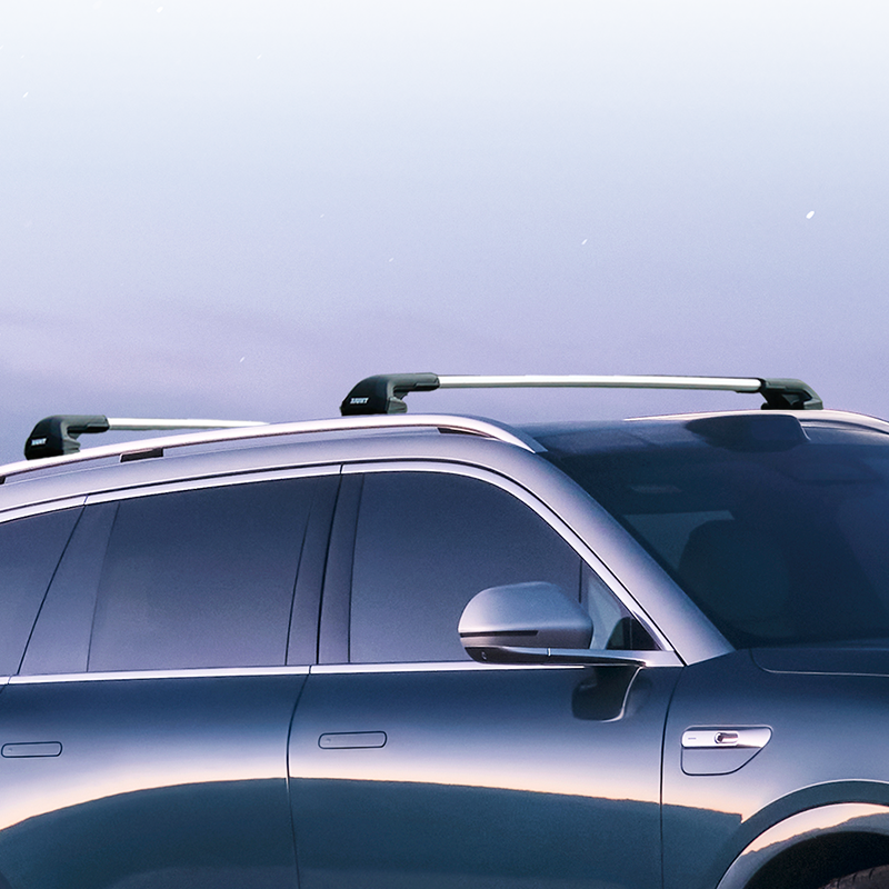 Thule Roof Rack