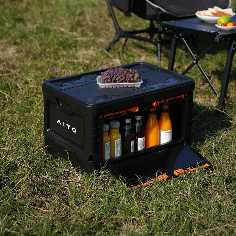 Collapsible In-Car Organizer