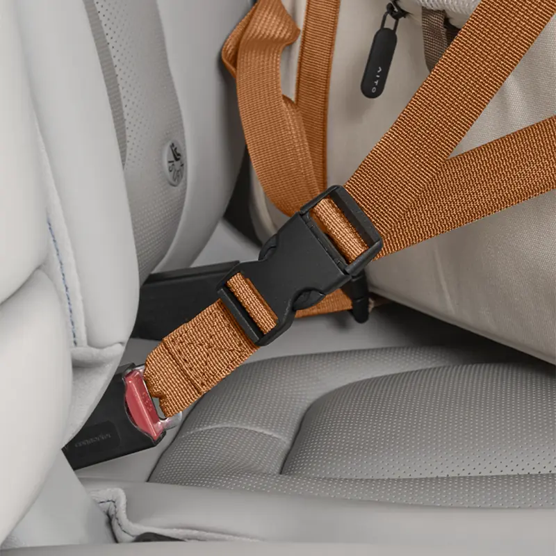 In-Car Pet Carrier gallery image 4