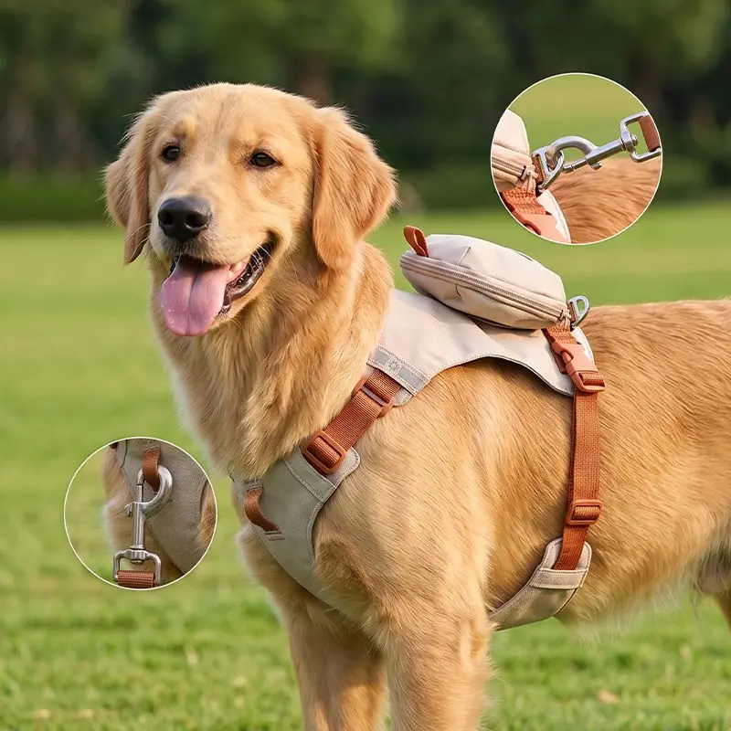 Pet Harness Set gallery image 2