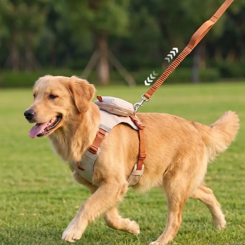 Pet Harness Set gallery image 5