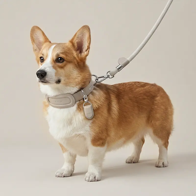 Pet Tracker Tag Protector gallery image 5