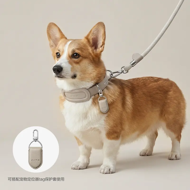 Pet Collar & Leash Set gallery image 4
