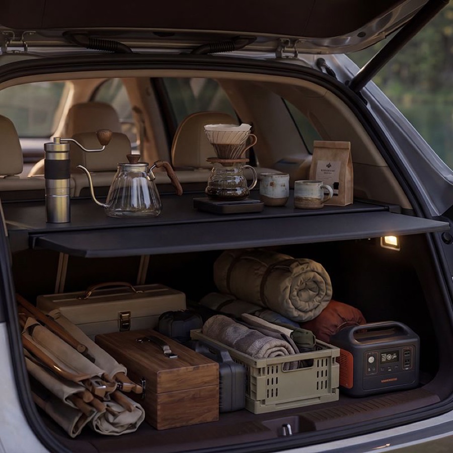 Multi-Function Trunk Rack