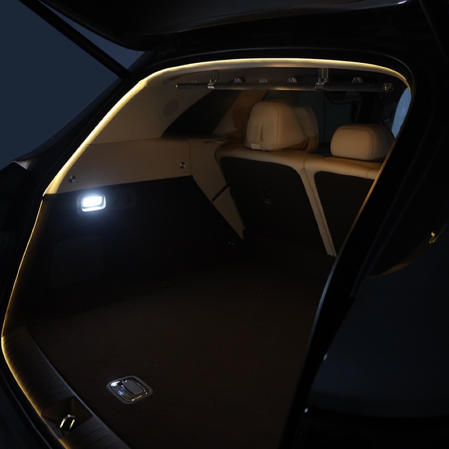 Tail-Gate Ambient Light