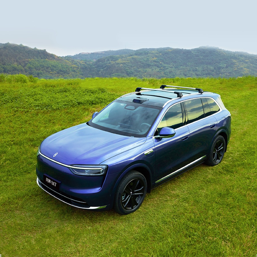 Thule Roof Rack