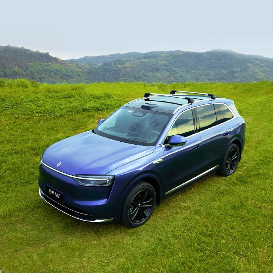 Thule Roof Rack