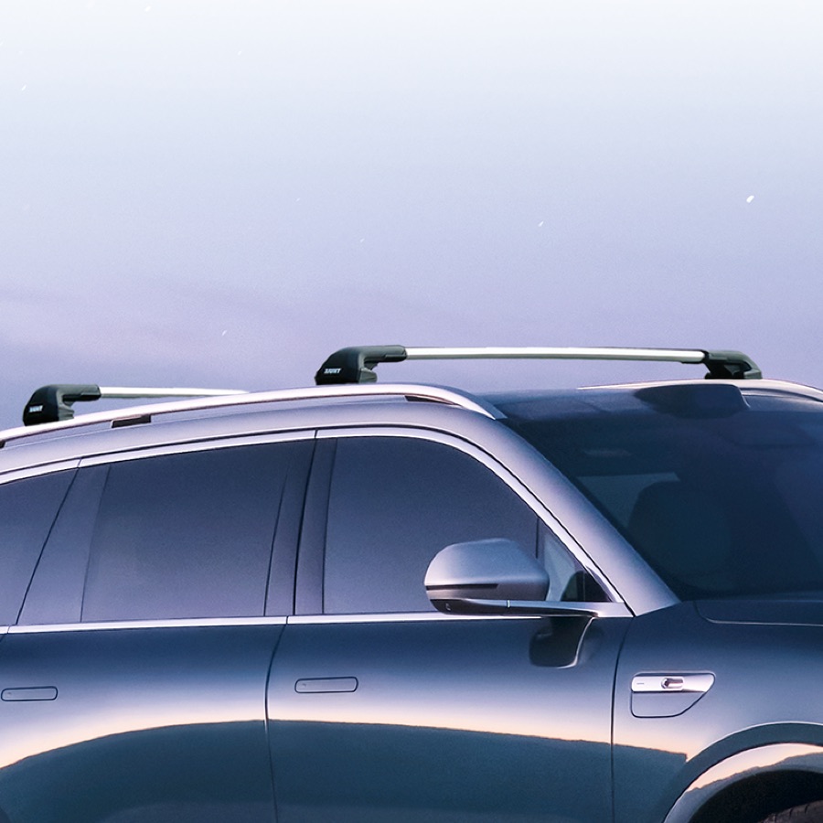 Thule Roof Rack