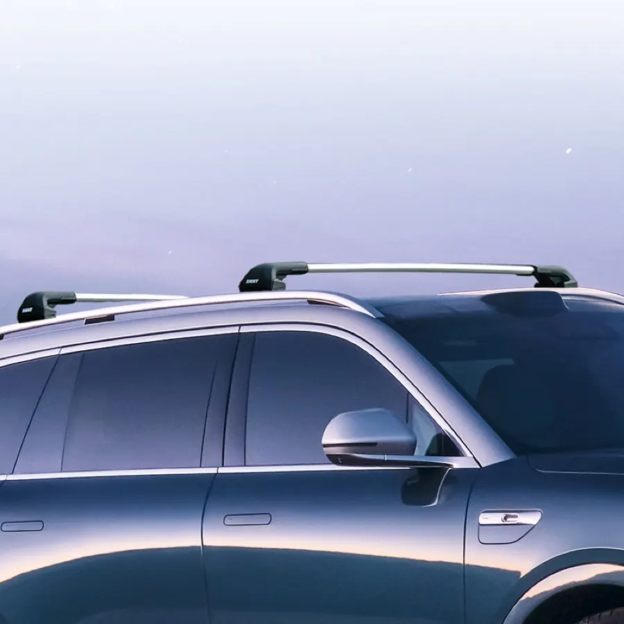 Thule Roof Rack