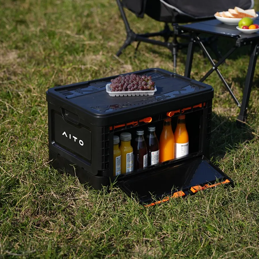 Collapsible In-Car Organizer