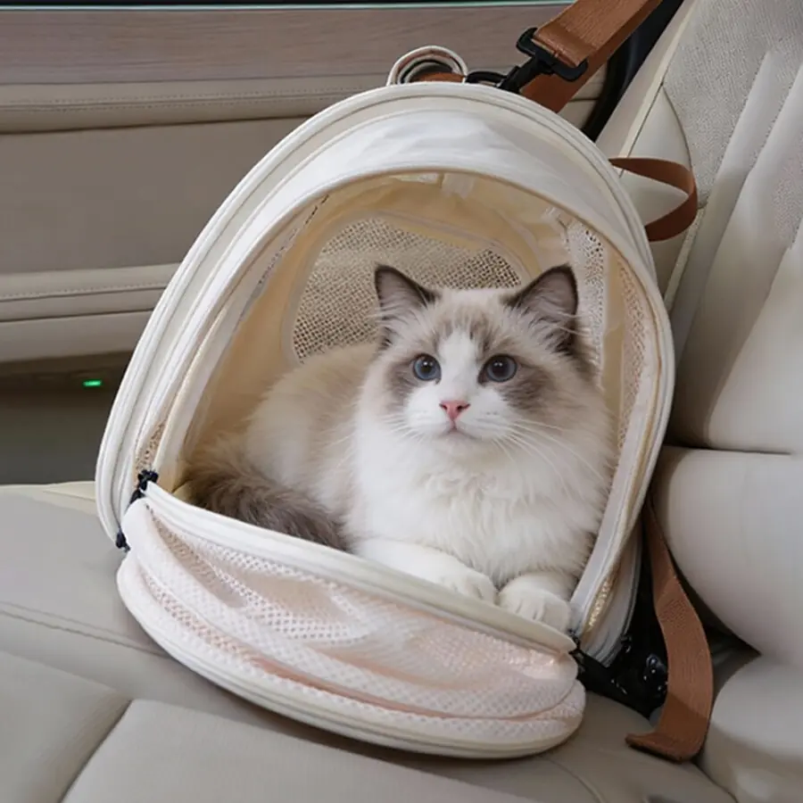 In-Car Pet Carrier