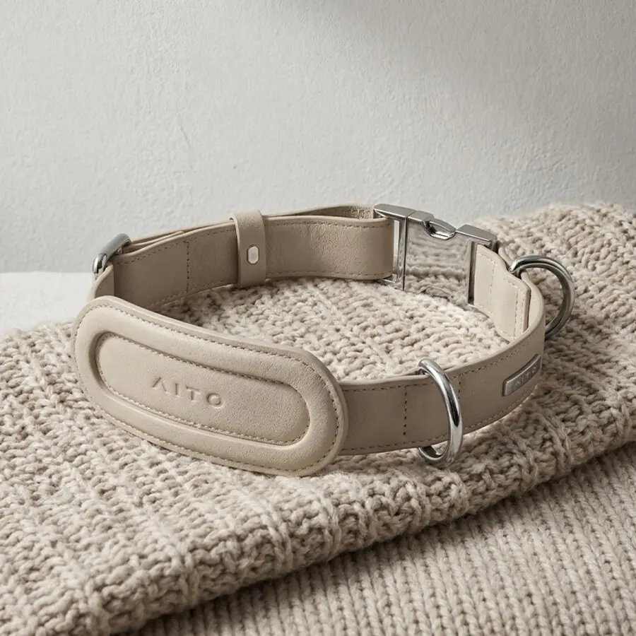 Pet Collar & Leash Set